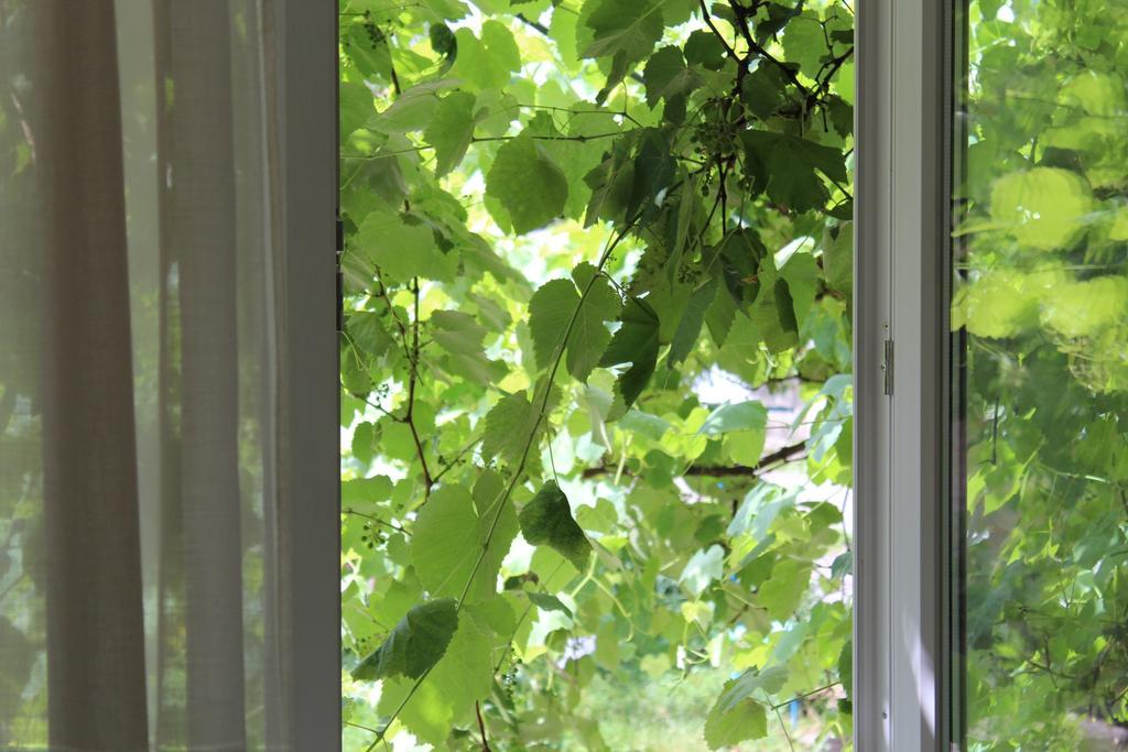 Apartment For Guests With Soul Vinnycja Esterno foto